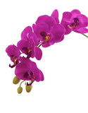 Artificial Phalaenopsis Orchid Arrangement with Curly Fern (0.65m)