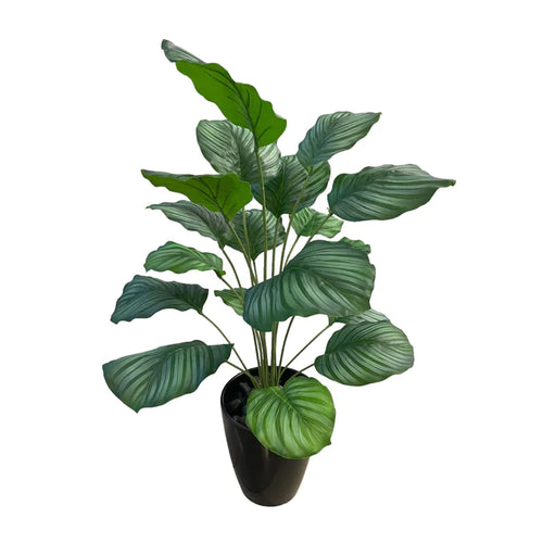 Potted Artificial Calathea in Black Melanie Pot (0.85m)