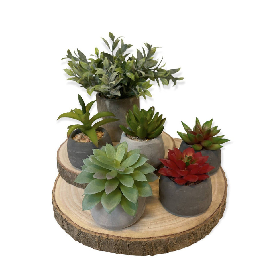 Artificial Potted Mini Plant Set (0.2m)