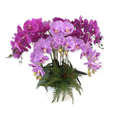 10-Stalk Artificial Phalaenopsis Orchid Arrangement with Assorted Leaves (0.70m)