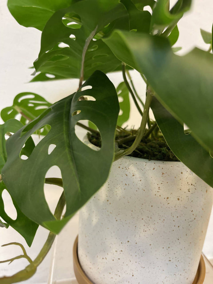 Artificial Potted Monstera Plant (0.3m)