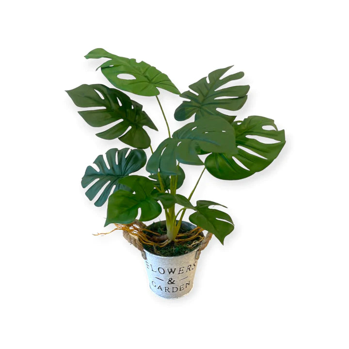 Potted Artificial Monstera in Zinc Pot (0.50m)