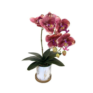 Artificial Single-Stalk Phalaenopsis Orchid Arrangement in Marble-Design Pot with Gold Plate (0.45m)