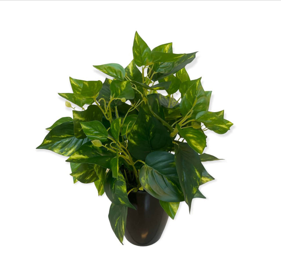 Artificial Pothos Plant (0.40m)